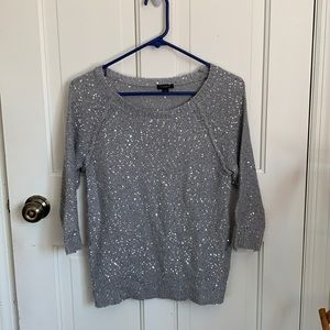 Silver Ann Taylor sweater
